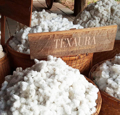 Organic Cotton